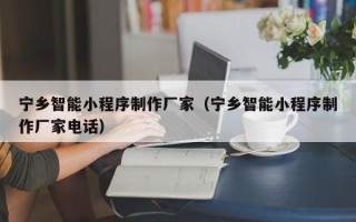 三河宁乡智能小程序制作厂家（宁乡智能小程序制作厂家电话）